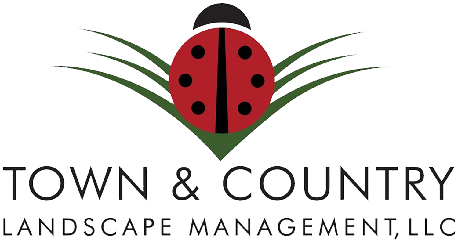 Town & Country Landscape Management
